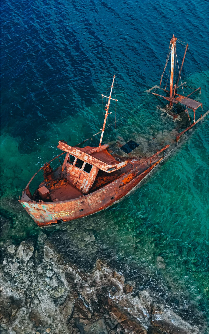 LEO: Teach the AI About Your Brand